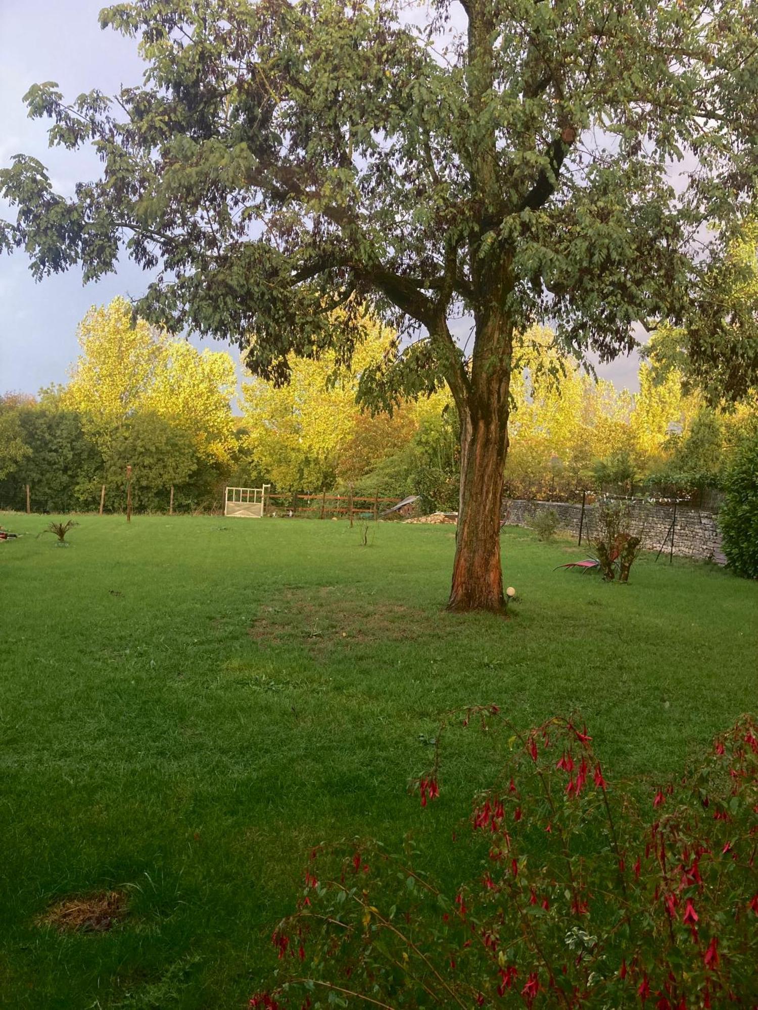 The Blue Lotus Gite And Spa Le Langon ภายนอก รูปภาพ